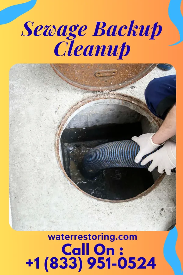 Sewage Backup Cleanup in Forest Park, OH