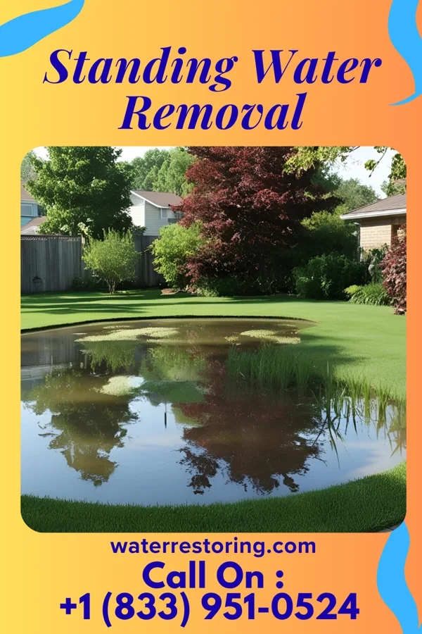 Standing Water Removal in Forest Park, OH